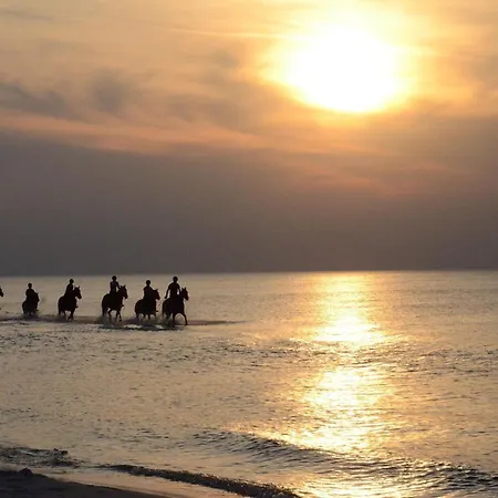 In Poland Near Baltic * Slajszewo