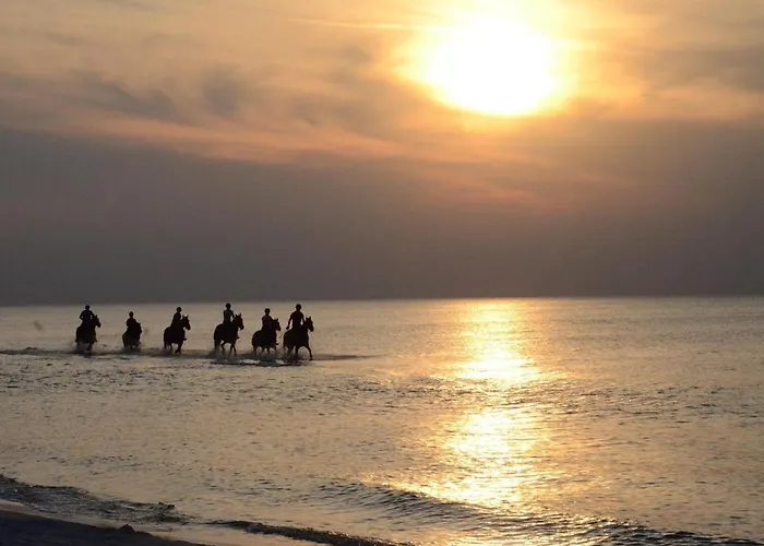 In Poland Near Baltic * Slajszewo